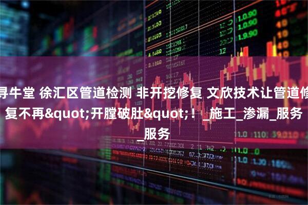 寻牛堂 徐汇区管道检测 非开挖修复 文欣技术让管道修复不再"开膛破肚"！_施工_渗漏_服务